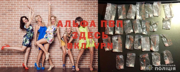 PSILOCYBIN Тайга