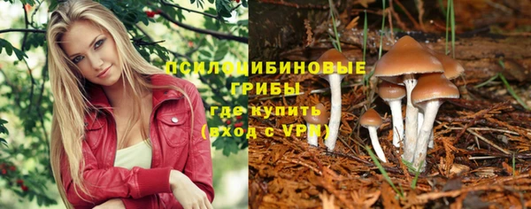 прущая мука Абинск