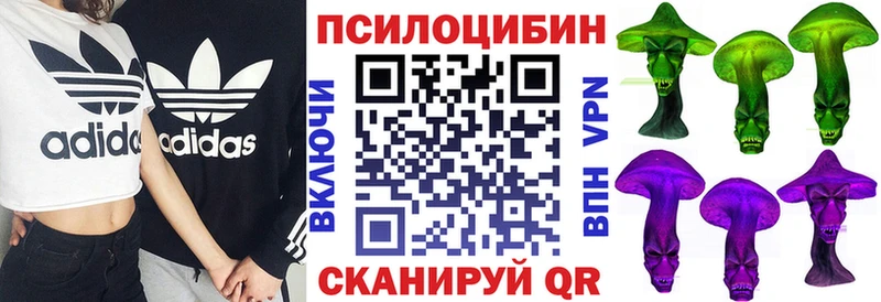 Псилоцибиновые грибы мицелий  Хасавюрт 